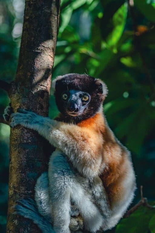 Babaomby, Madagascar